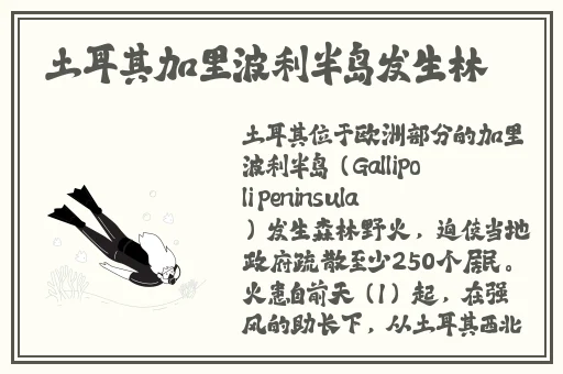 双人床上互动的app